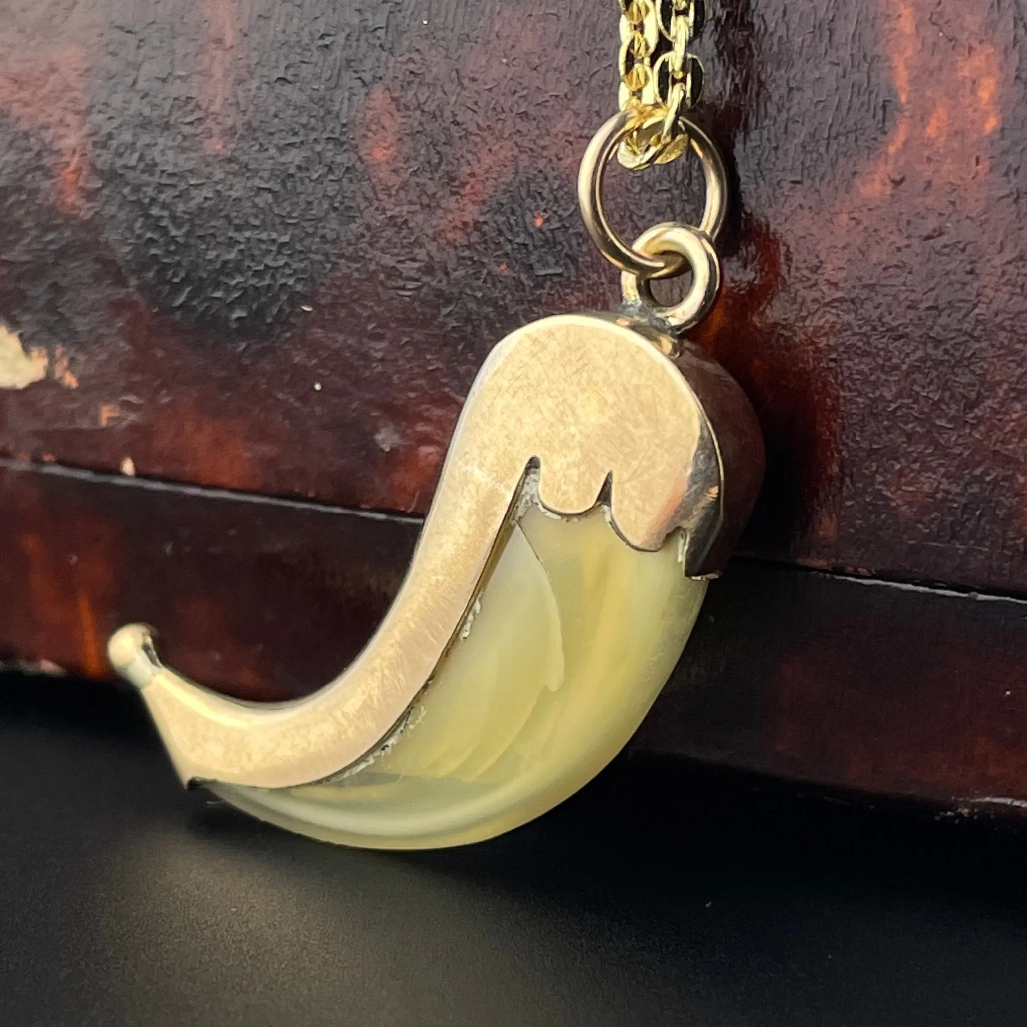 Antique 9K Gold Faux Claw Brooch Pendant Necklace