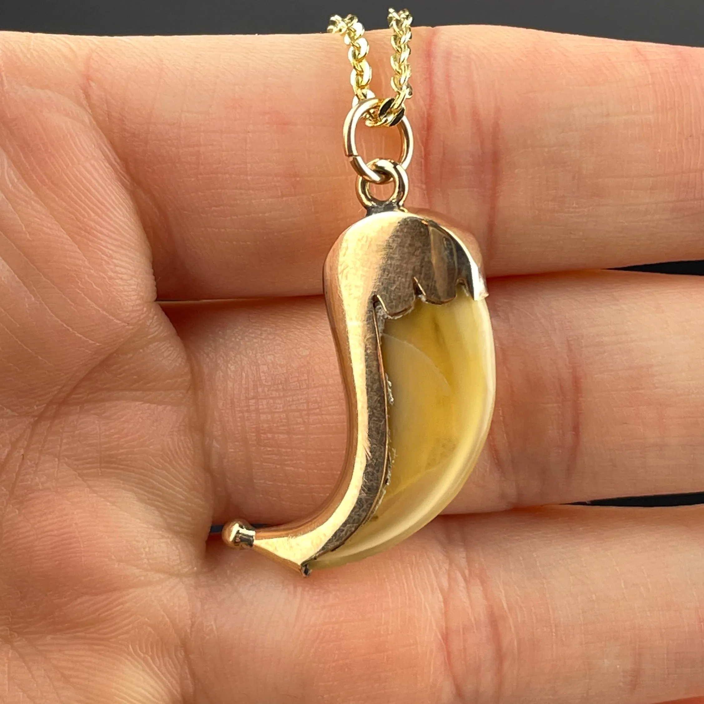 Antique 9K Gold Faux Claw Brooch Pendant Necklace