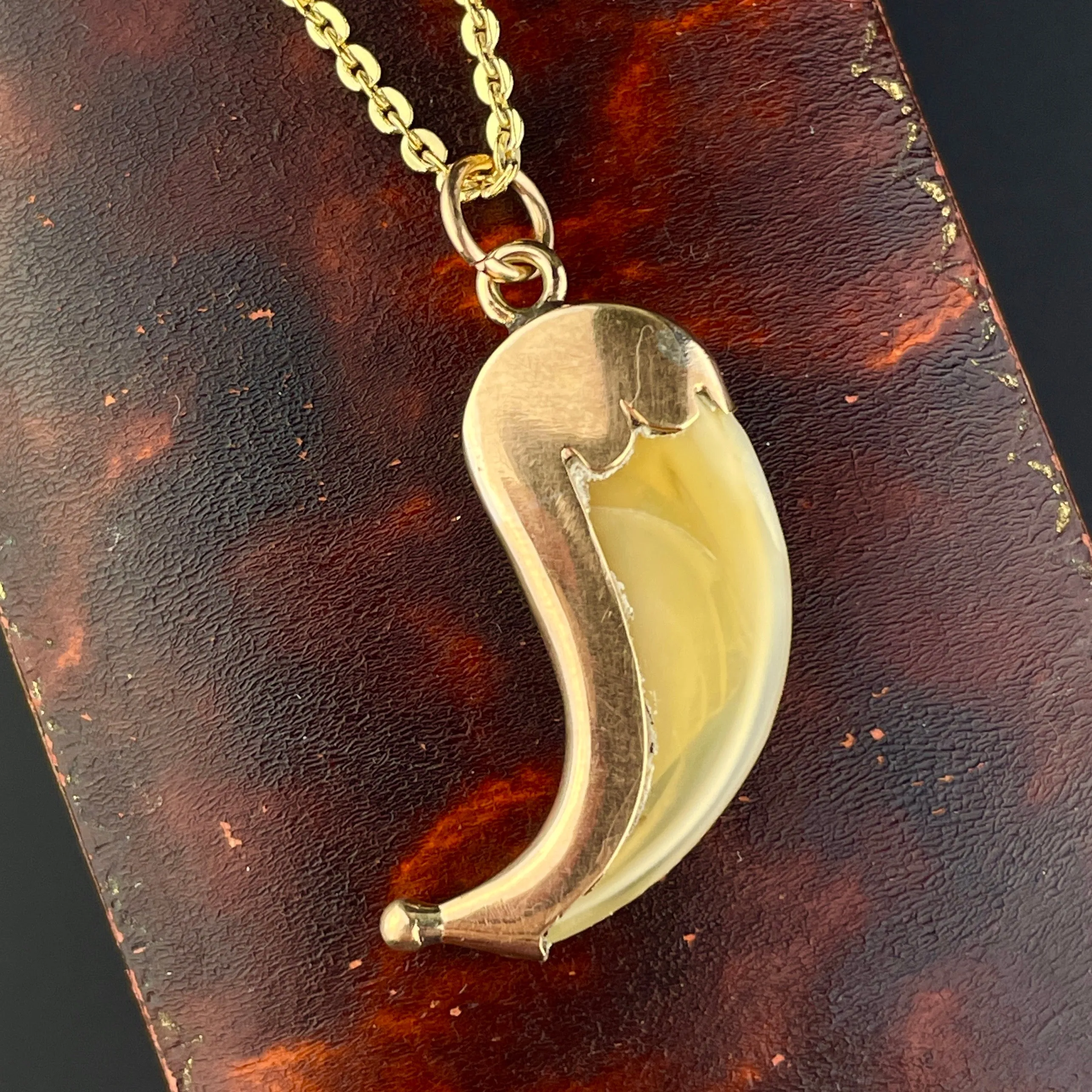 Antique 9K Gold Faux Claw Brooch Pendant Necklace
