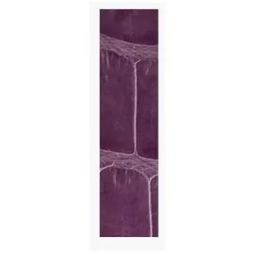 Ballon Bleu 33mm Purple Alligator Strap