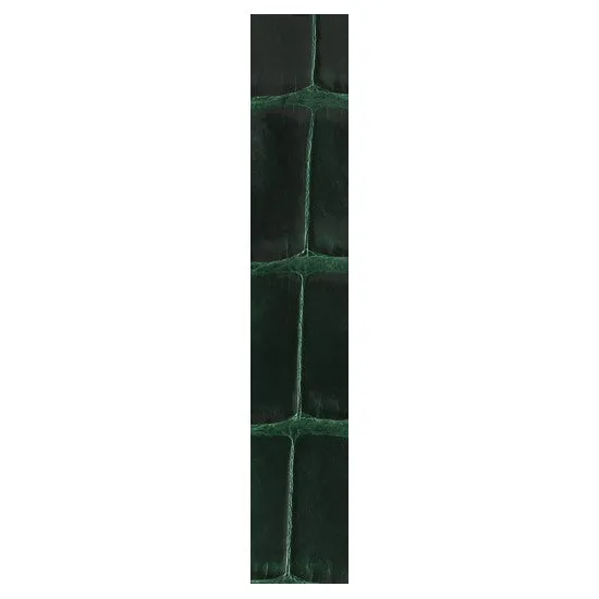 Ballon Bleu 36mm or 37mm Dark Green Alligator Strap