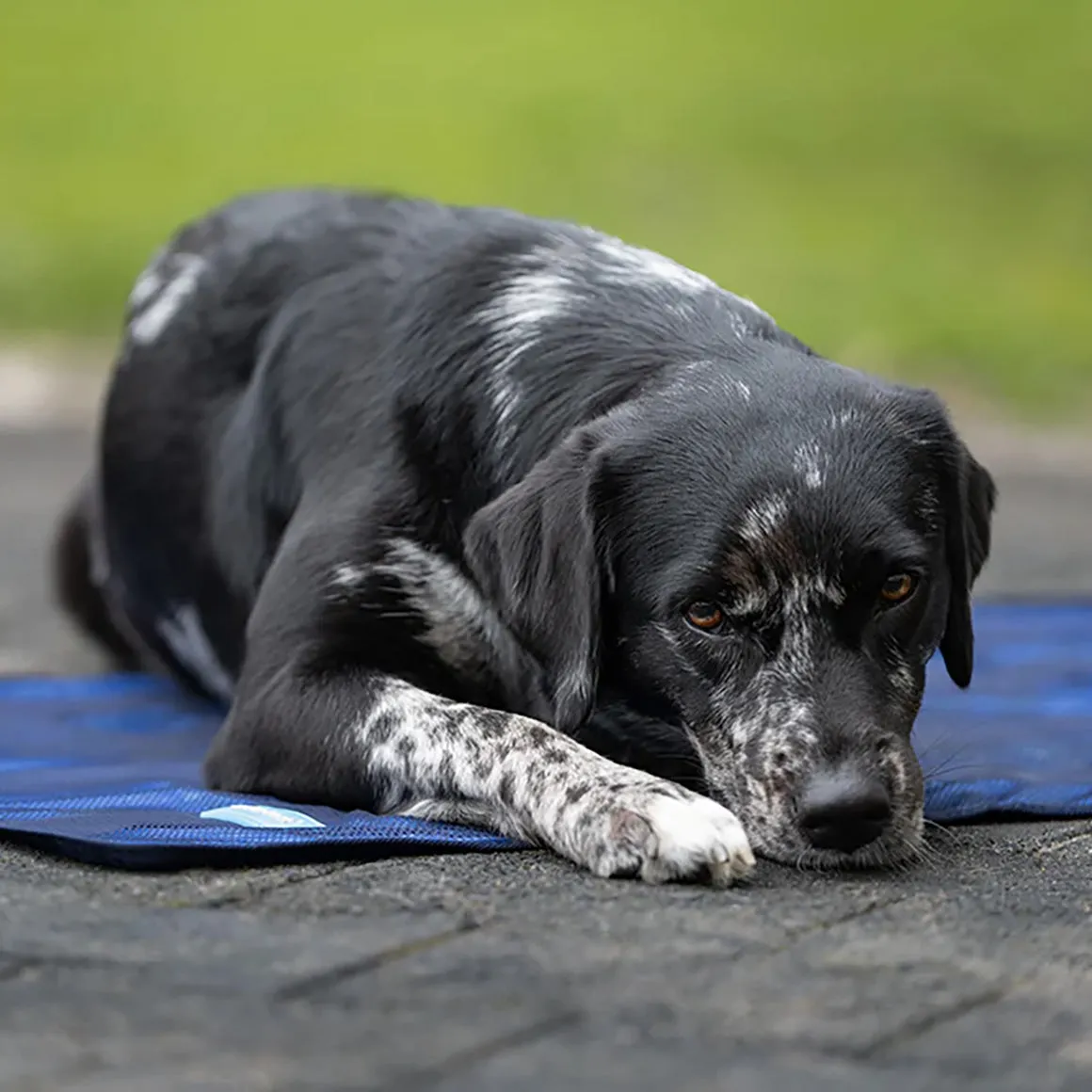 Cool on Track® Cooling Towel