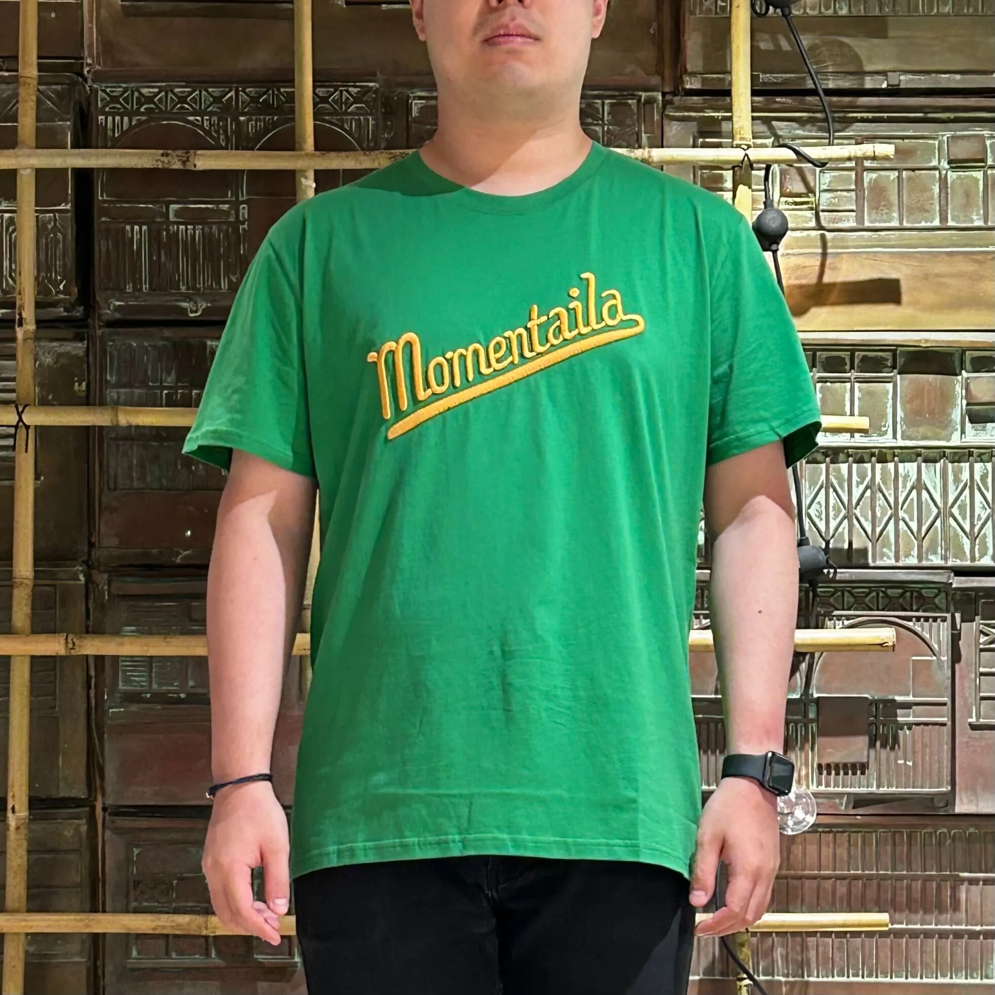 Momentaila Embroidered Tee, Apple Green