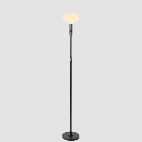 Poise Adjustable Floor Lamp in Graphite   Oval II